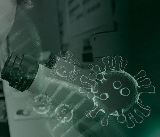 DESINFECCIÓN EN HUELVA