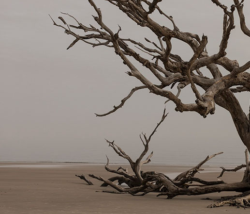 TRATAMIENTO DE LA MADERA EN HUELVA